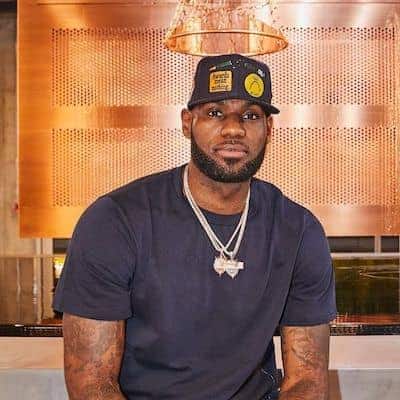 LeBron James net worth in NBA category
