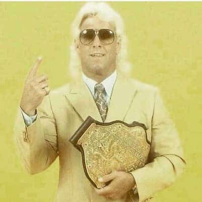 Ric Flair net worth in Sports & Athletes category