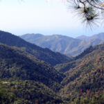 Fidel Castro - Famous Lawyer