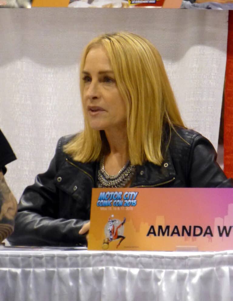 Amanda Wyss - Famous Actor