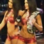 Bella Twins - Famous Wrestler