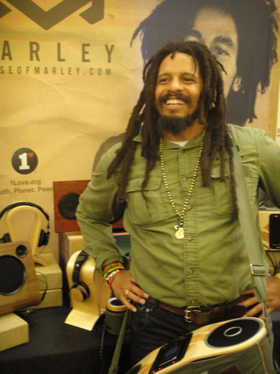 Rohan Marley net worth in Business category