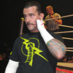 CM Punk - Famous Wrestler