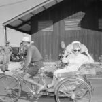 Phyllis Diller - Famous Voice Actor