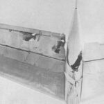 King Hassan II - Famous Royal