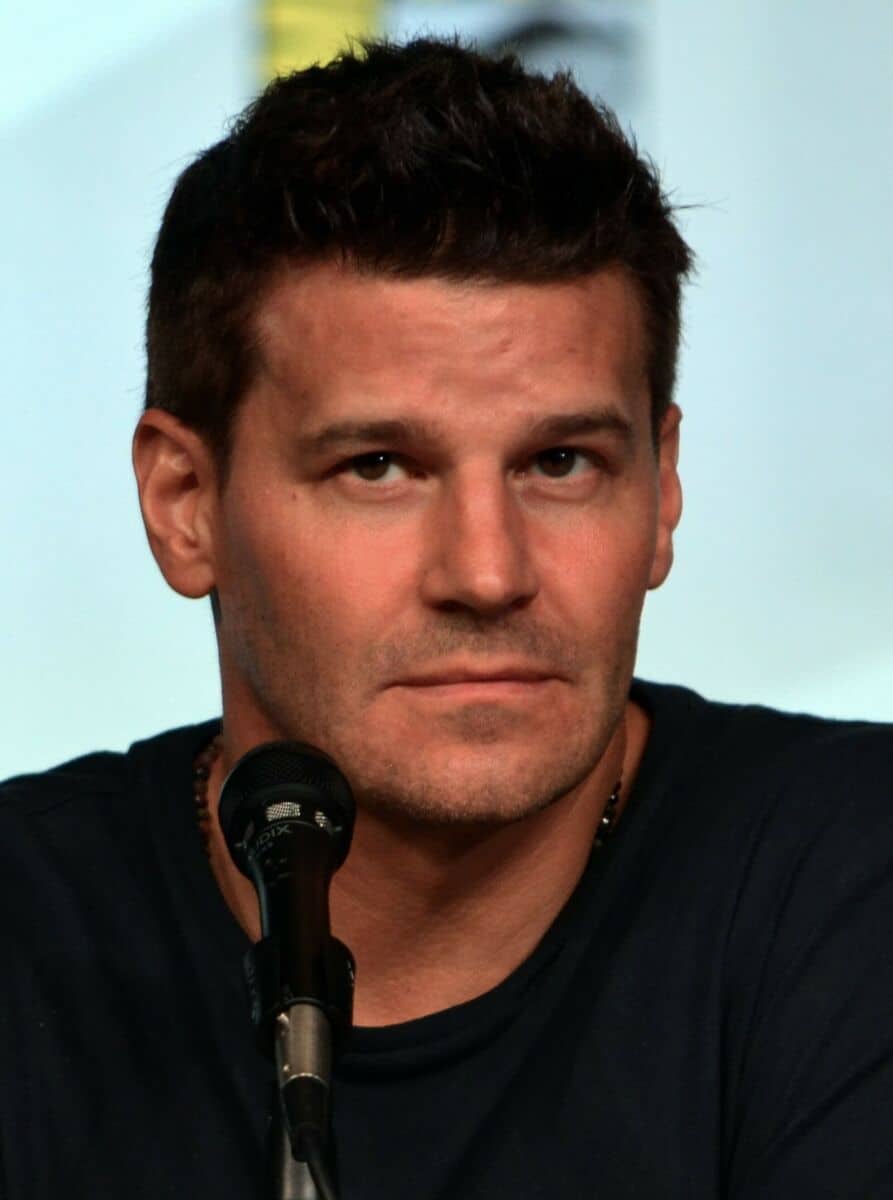 David Boreanaz - Famous Television Producer