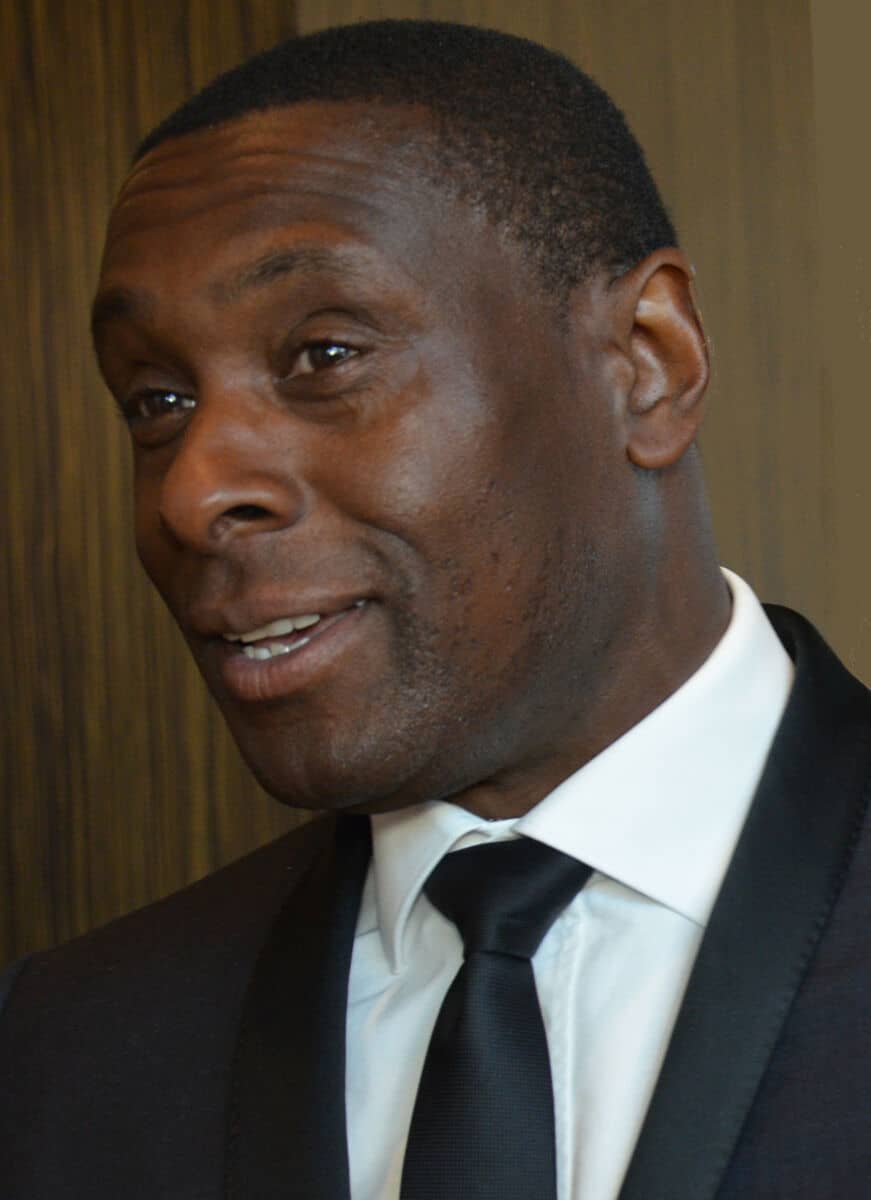 David Harewood - Famous Voice Actor
