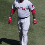 David Ortiz - Famous Baseball Player