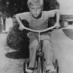 Jay North - Famous Actor