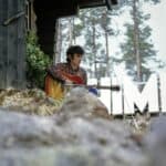 Donovan - Famous Musician