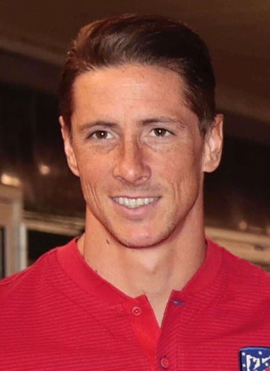 Fernando Torres net worth in Football / Soccer category
