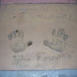 John Forsythe - Famous Film Producer