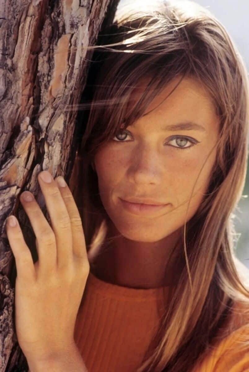 Françoise Hardy - Famous Songwriter