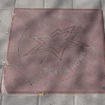 Gordie Howe - Famous Ice Hockey Player