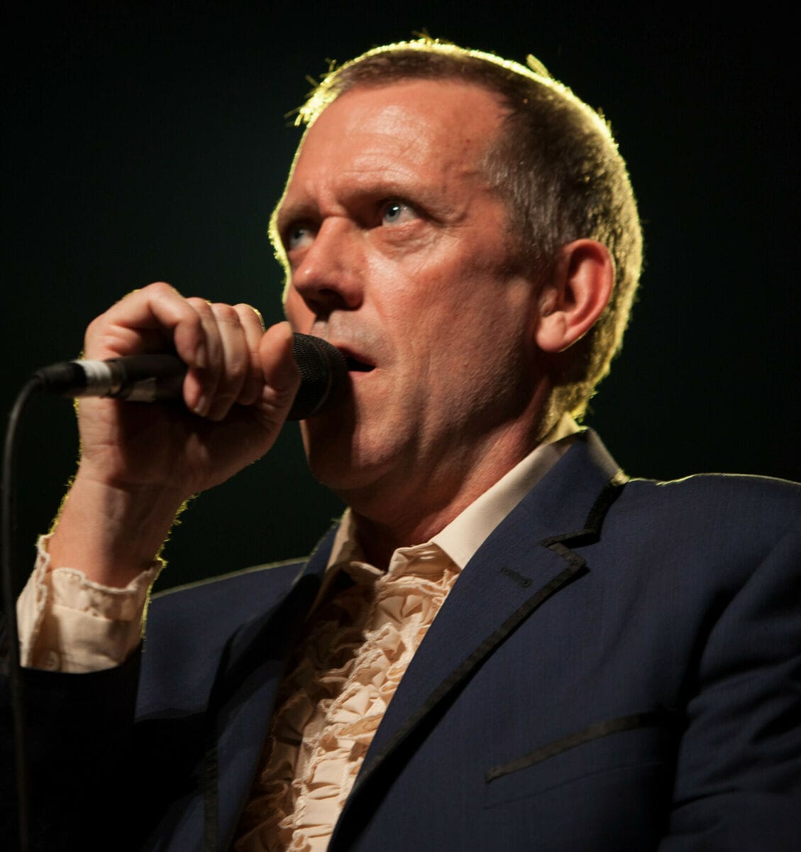 Hugh Laurie - Famous Voice Actor