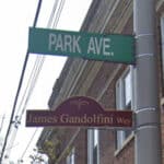 James Gandolfini - Famous Actor