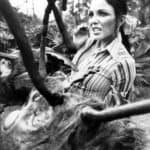 Joan Collins - Famous Columnist