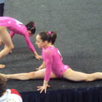 Jordyn Wieber - Famous Gymnast