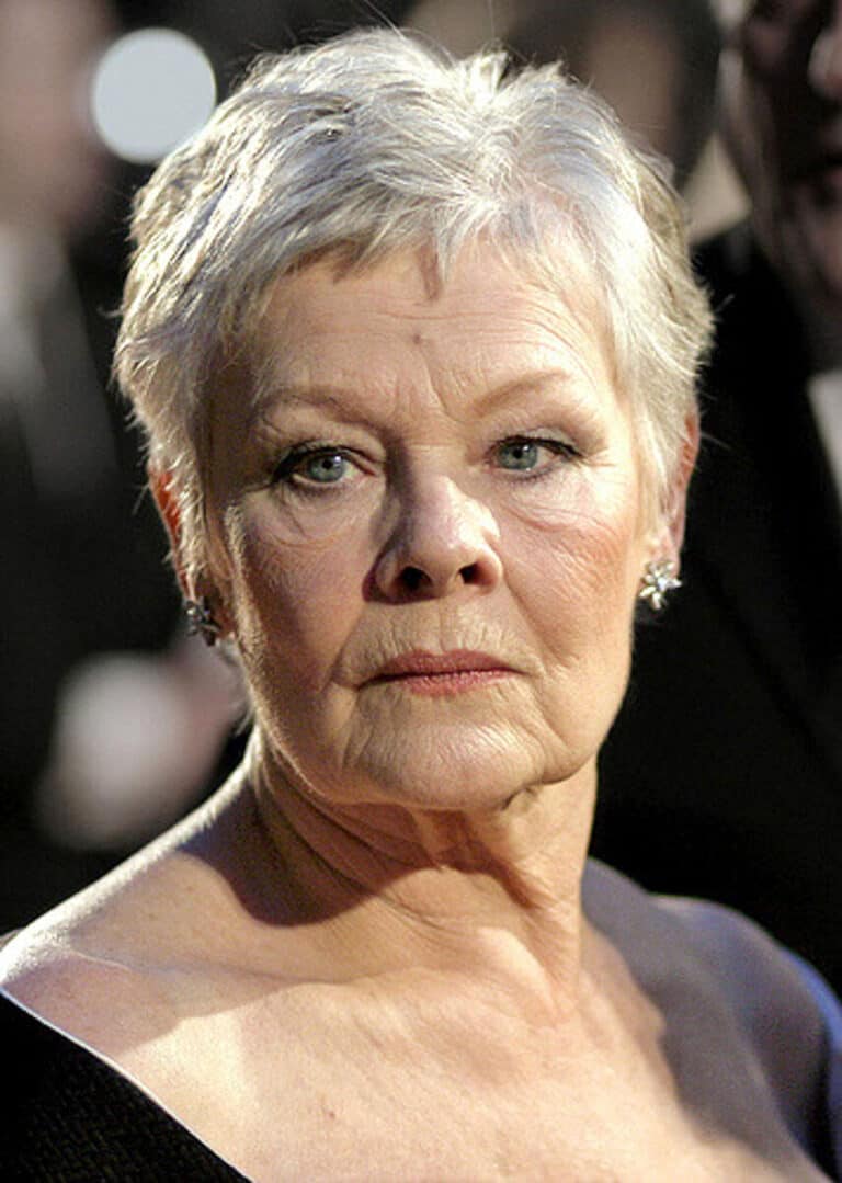 Judi Dench - Famous Theatre Director