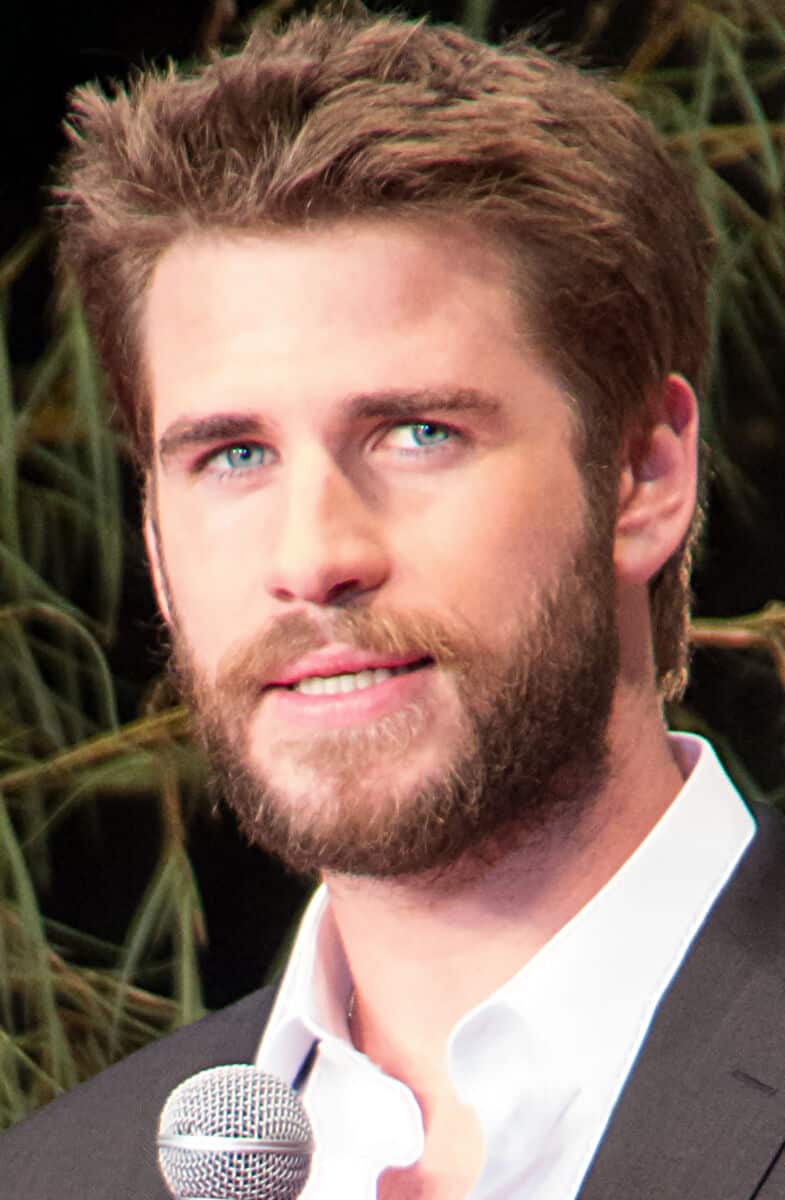 Liam Hemsworth - Famous Actor