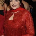 Liza Minnelli - Famous Actor