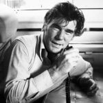 Mitchell Ryan - Famous Actor