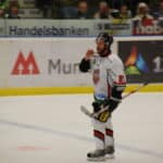 Peter Forsberg - Famous Ice Hockey Player