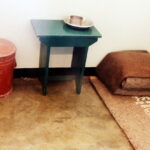 Nelson Mandela - Famous Lawyer