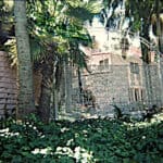 Jayne Mansfield - Famous Actor