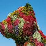 Jeff Koons - Famous Actor