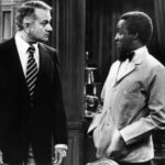 Robert Guillaume - Famous Film Producer