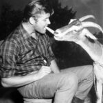 Roger Moore - Famous Television Producer