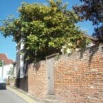 Joan Hickson - Famous Voice Actor