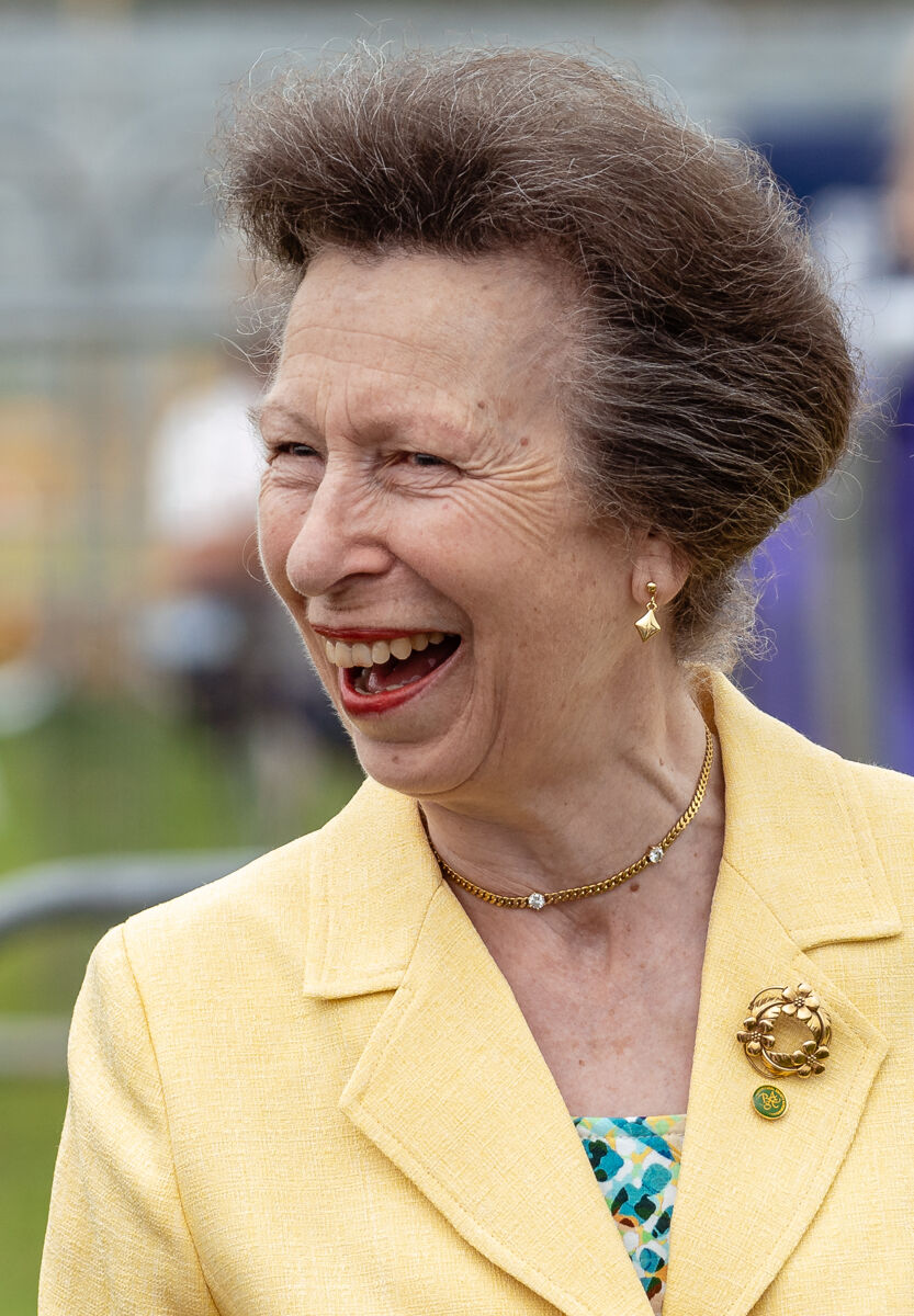 Princess Anne net worth in Politicians category