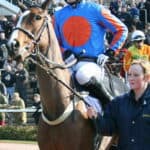 Tony McCoy - Famous Jockey