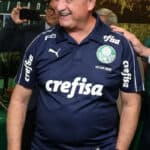 Luiz Felipe Scolari - Famous Soccer Player