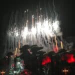 Alesso - Famous Musician