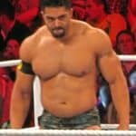 David Otunga - Famous Wrestler