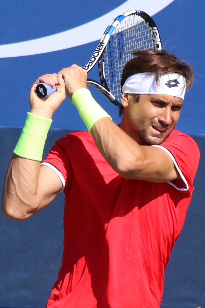 David Ferrer - Famous Tennis Player
