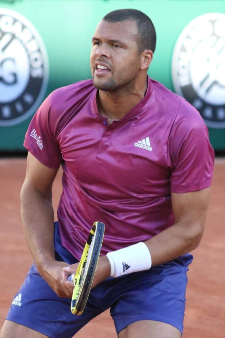 Jo-Wilfried Tsonga - Famous Tennis Player