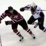 Donald Brashear - Famous Hockey Player