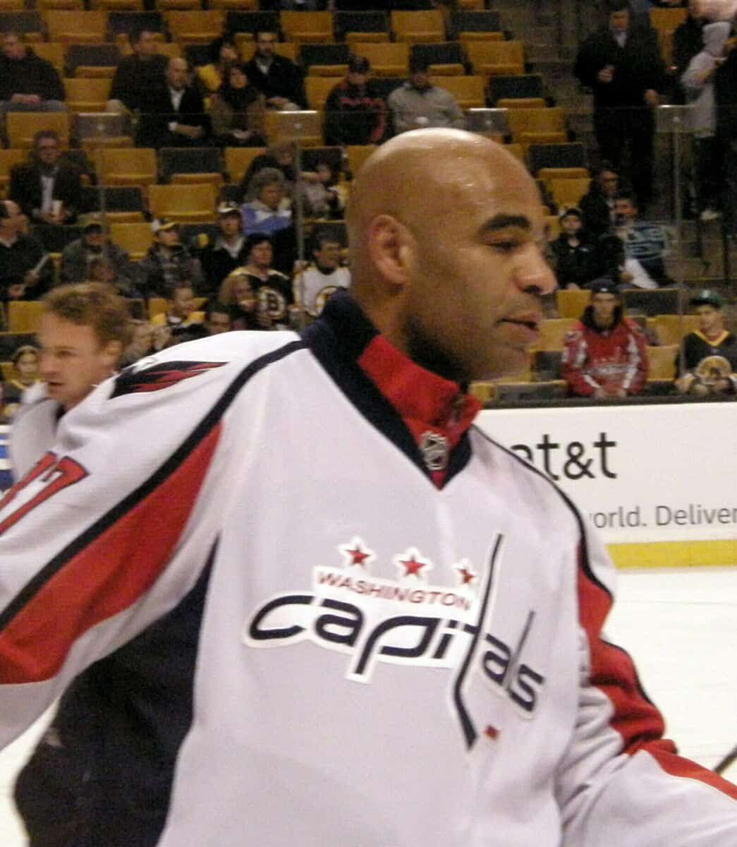 Donald Brashear - Famous Hockey Player