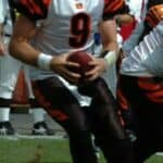 Carson Palmer - Famous American Football Player