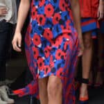 Donna Karan - Famous Fashion Designer