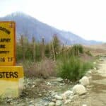 Jimmy Buffett - Famous Writer