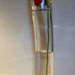 Kenzo Takada - Famous Fashion Designer