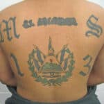 Nayib Bukele - Famous President