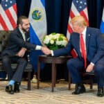 Nayib Bukele - Famous President