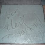 Neil Diamond - Famous Actor