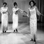 Diana Ross - Famous Singer